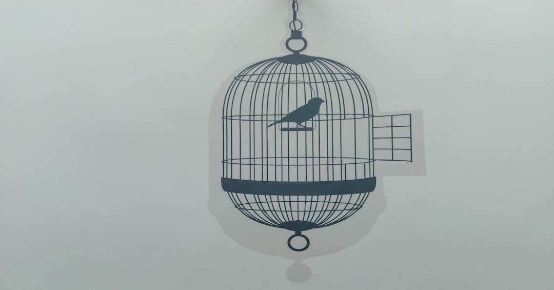 You Only Need To Cage A Bird If It Knows That It Can Fly