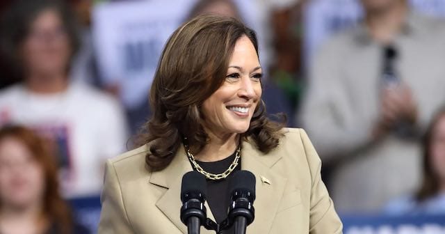 Harris will raise taxes on ordinary Americans